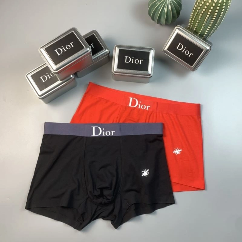 SoftTouch Christian Dior Underwear 276812