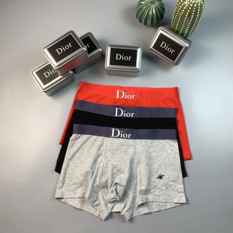 SoftTouch Christian Dior Underwear 276812