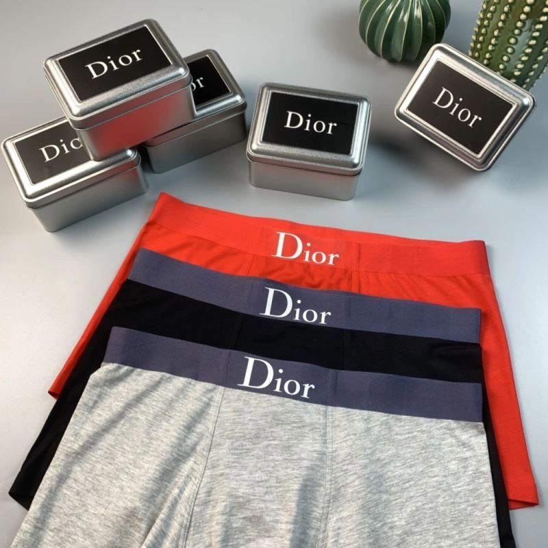 SoftTouch Christian Dior Underwear 276812