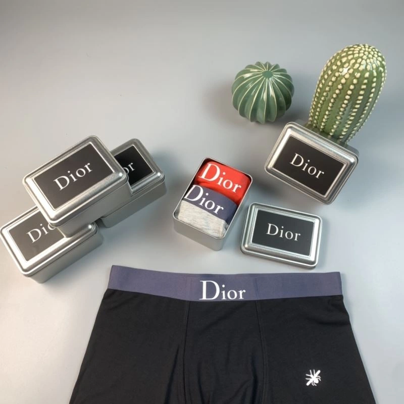 SoftTouch Christian Dior Underwear 276812