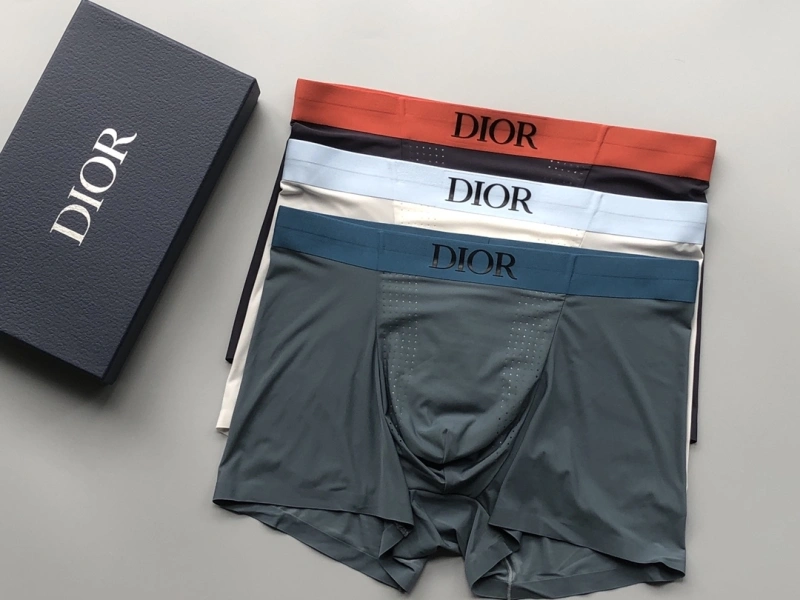 Compact Christian Dior Underwear 276672