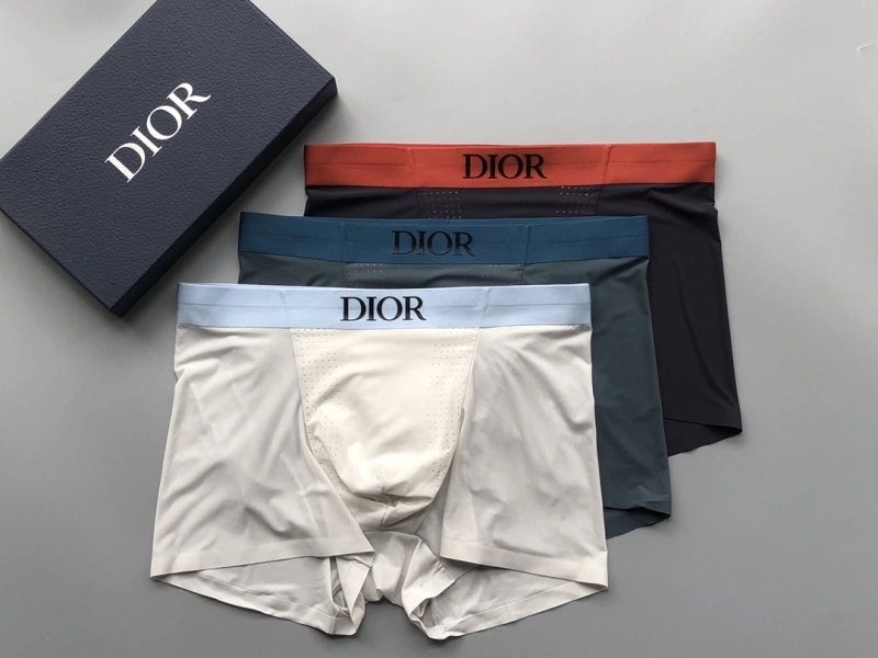 Compact Christian Dior Underwear 276672