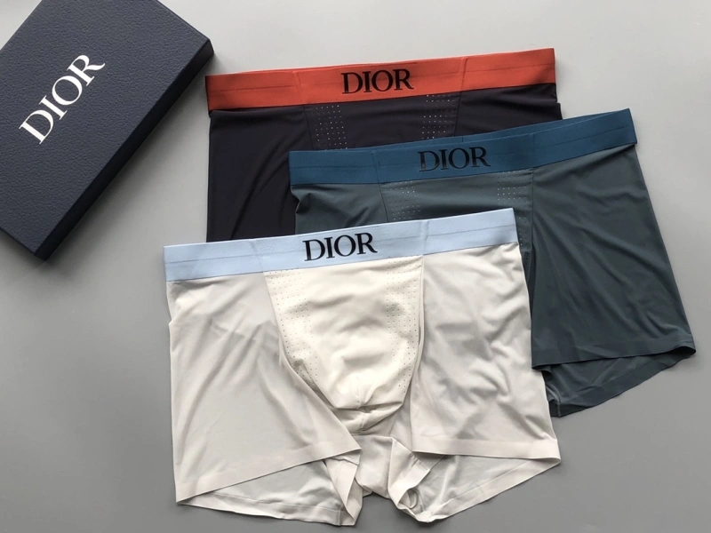 Compact Christian Dior Underwear 276672