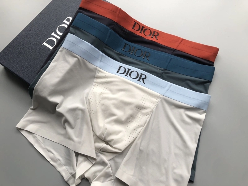Compact Christian Dior Underwear 276672