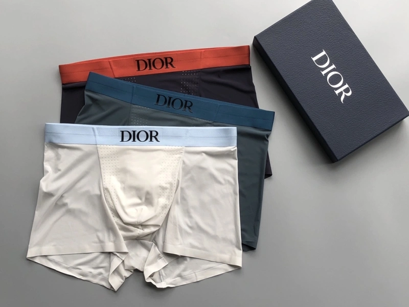 Compact Christian Dior Underwear 276672
