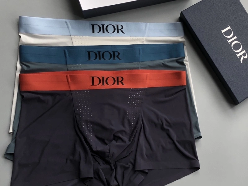 Compact Christian Dior Underwear 276672