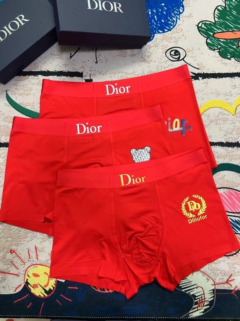 Upgraded Christian Dior Underwear 276671