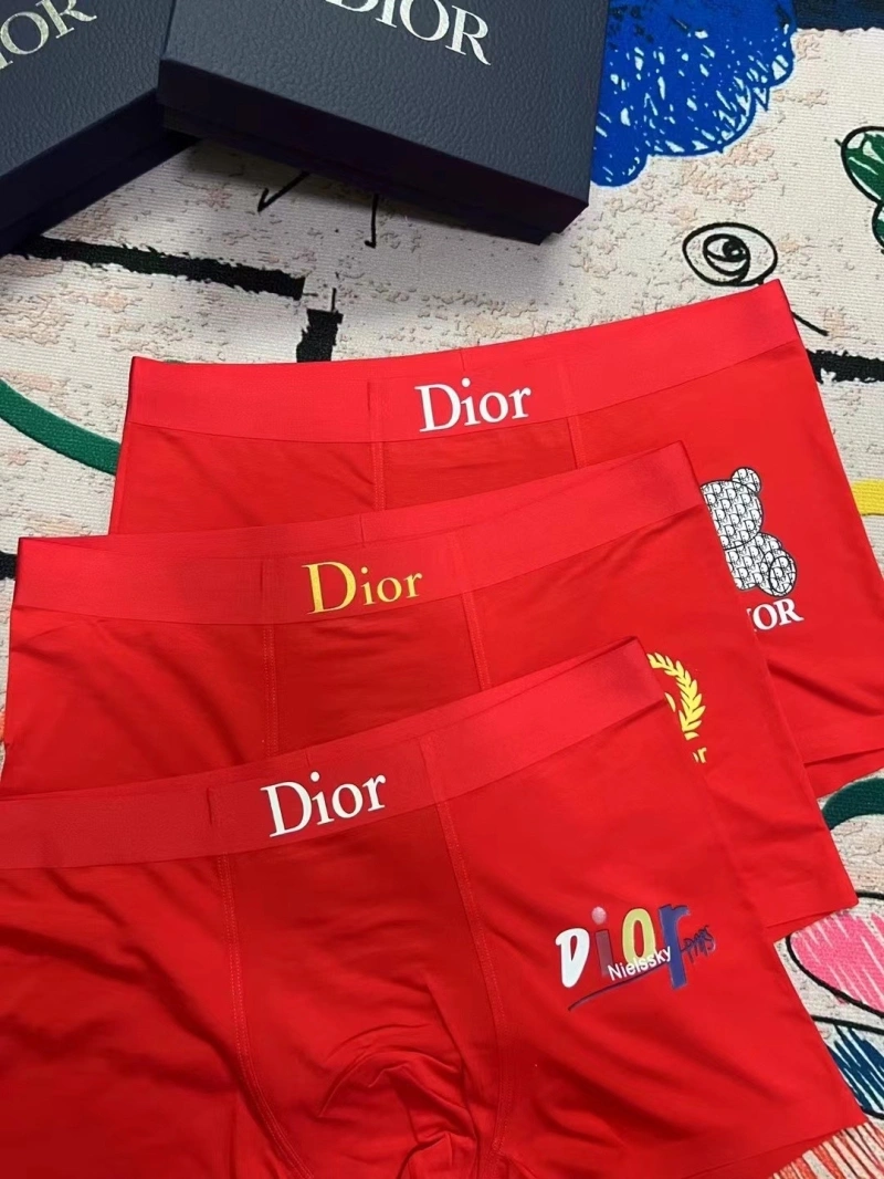 Upgraded Christian Dior Underwear 276671