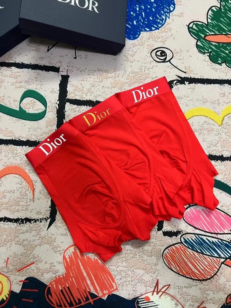 Upgraded Christian Dior Underwear 276671