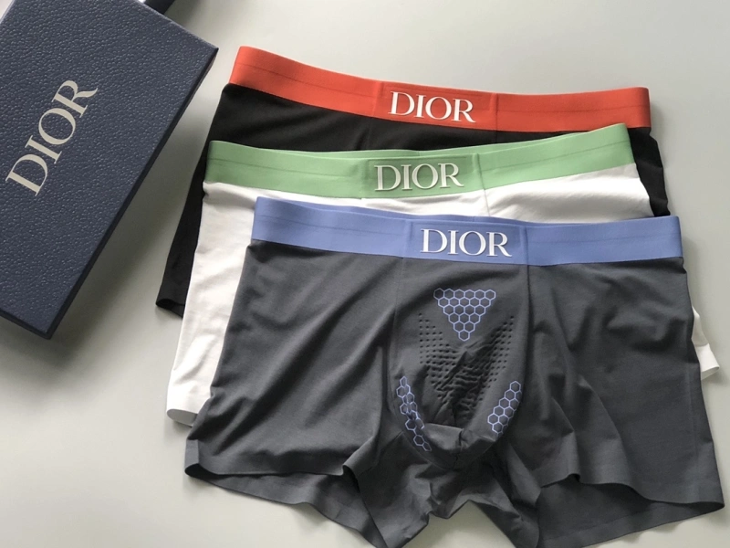 HighQuality Christian Dior Underwear 276670