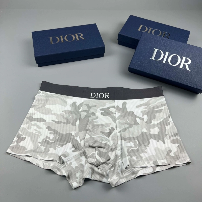 Breathable Christian Dior Underwear 276669