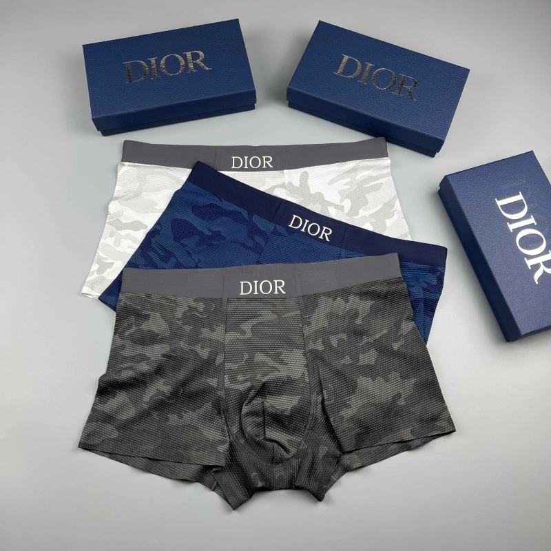 Breathable Christian Dior Underwear 276669