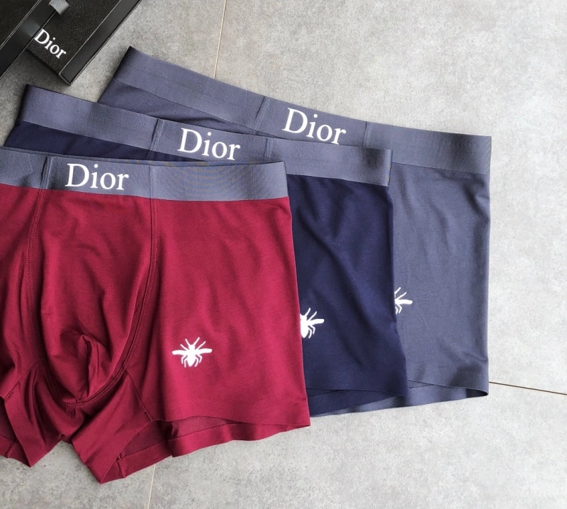 StreetReady Christian Dior Underwear 276478