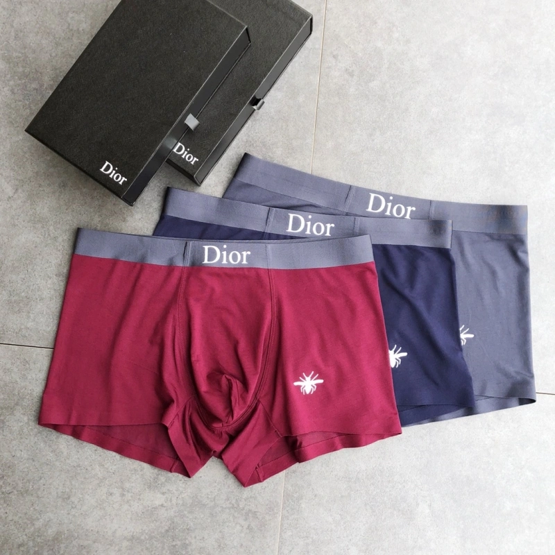 StreetReady Christian Dior Underwear 276478