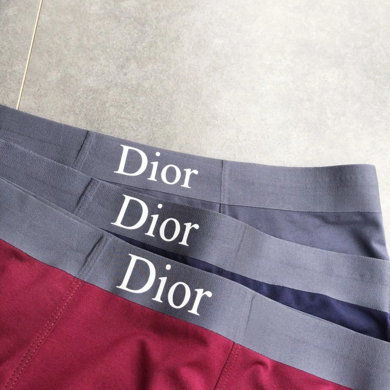 StreetReady Christian Dior Underwear 276478