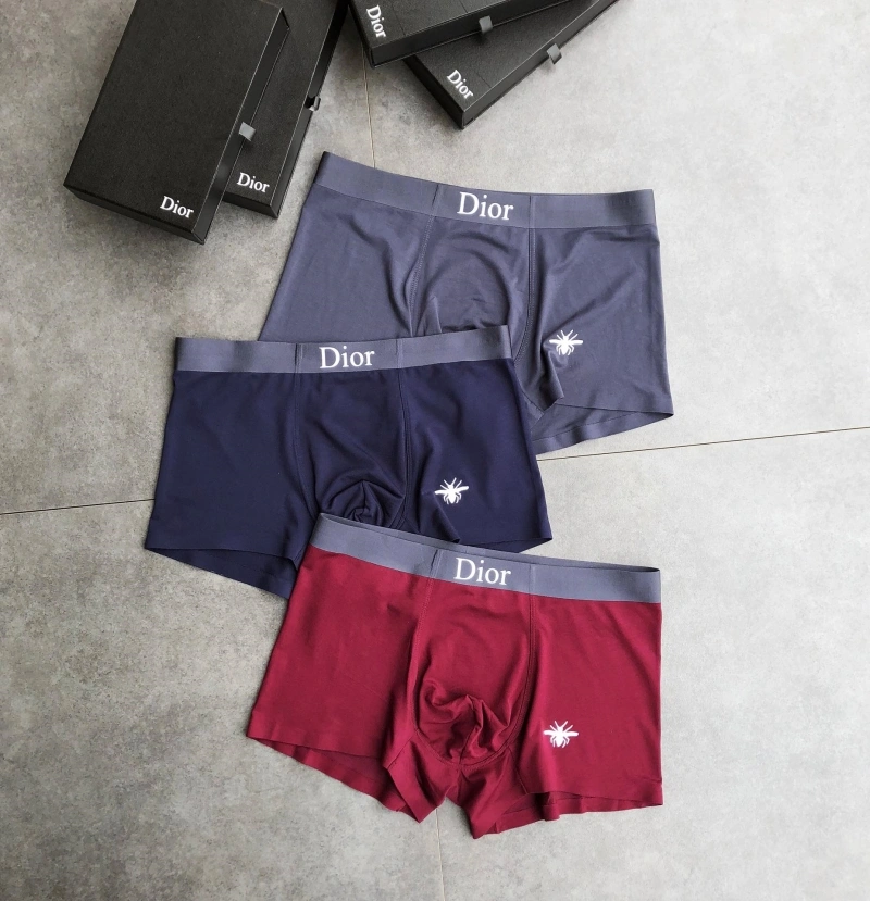StreetReady Christian Dior Underwear 276478