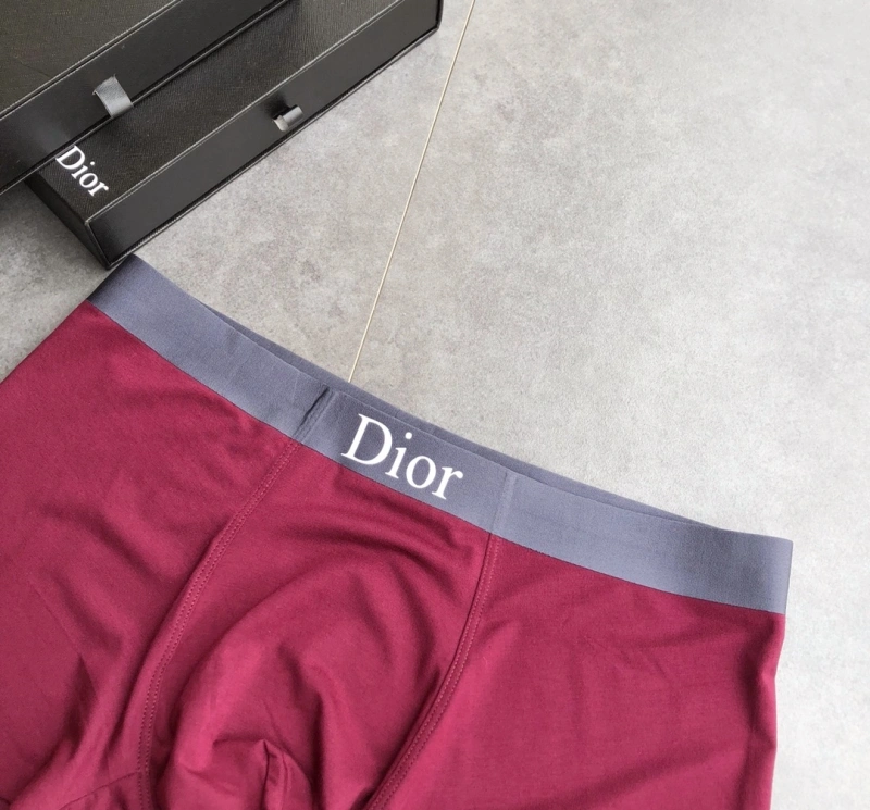 StreetReady Christian Dior Underwear 276478