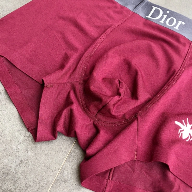 StreetReady Christian Dior Underwear 276478