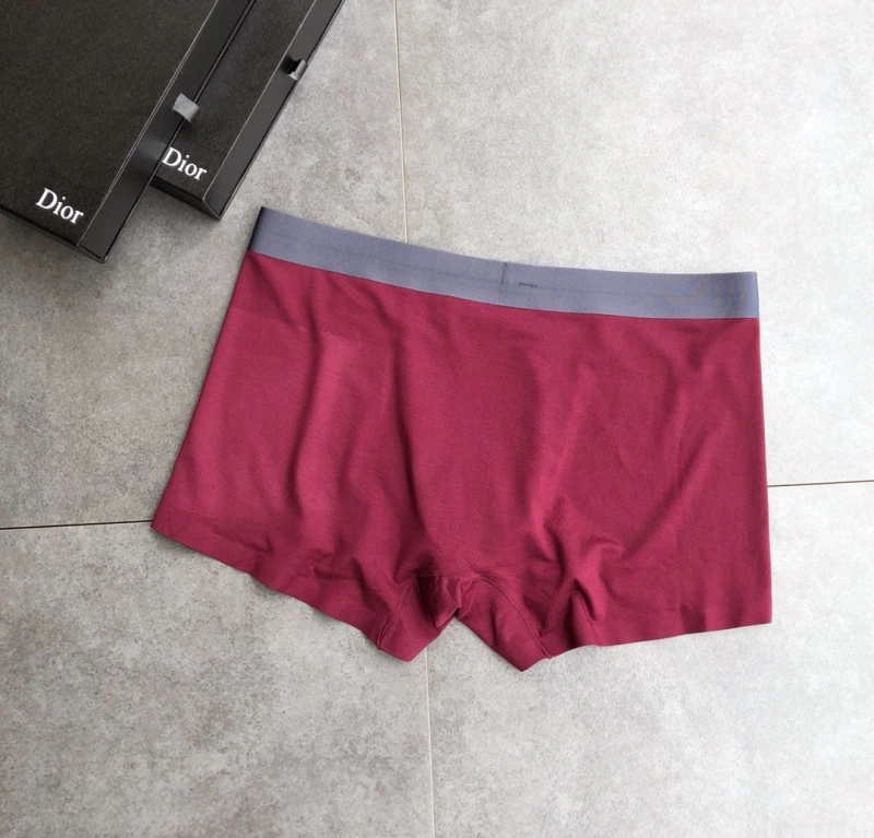 StreetReady Christian Dior Underwear 276478