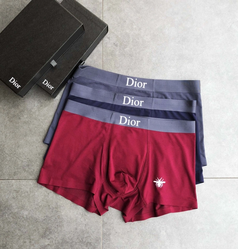 StreetReady Christian Dior Underwear 276478