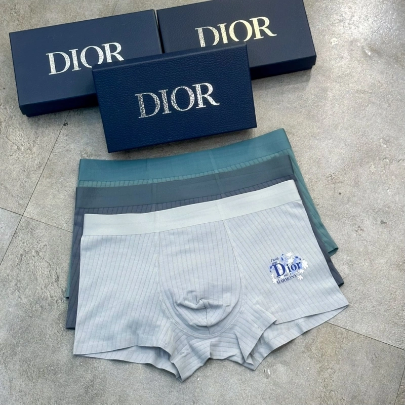 Christian Dior Underwear ZeroBulk 276479