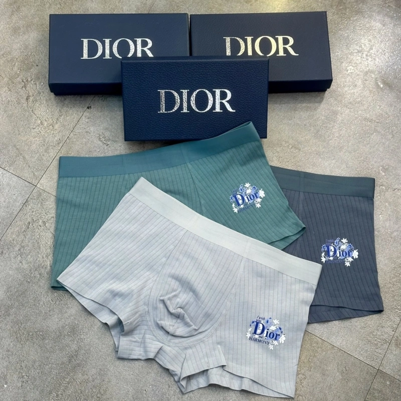 Christian Dior Underwear ZeroBulk 276479