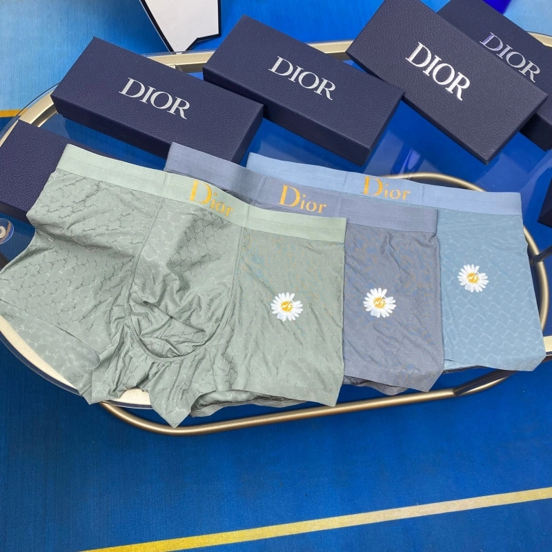 Christian Dior Underwear WellDesigned 276473