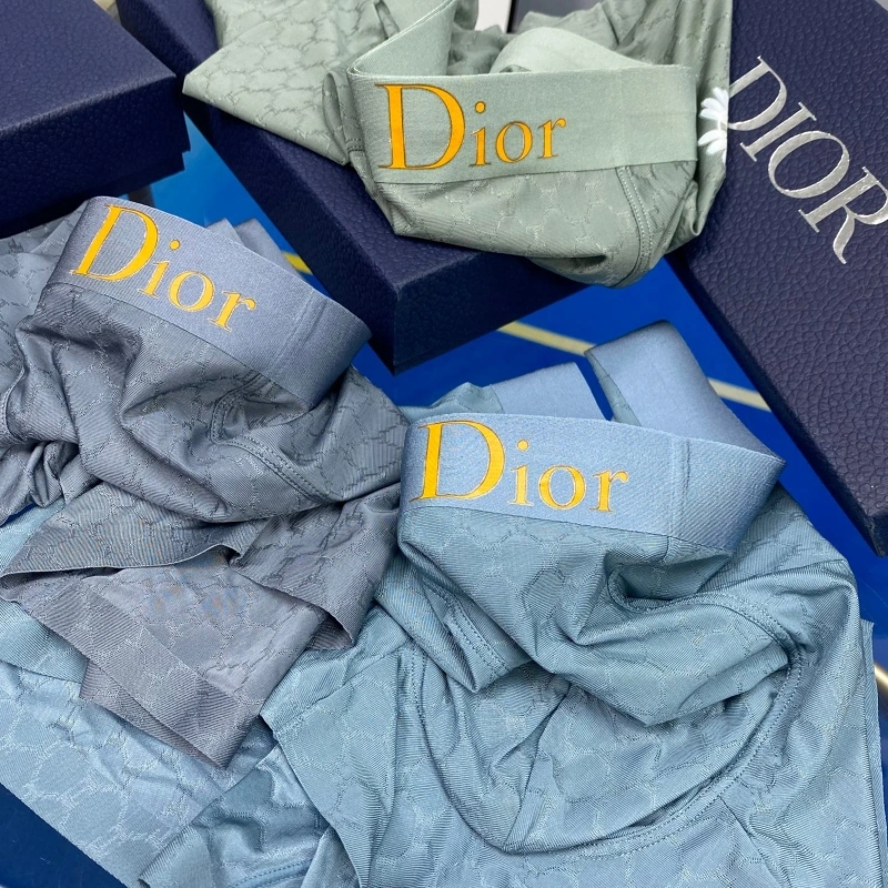 Christian Dior Underwear WellDesigned 276473