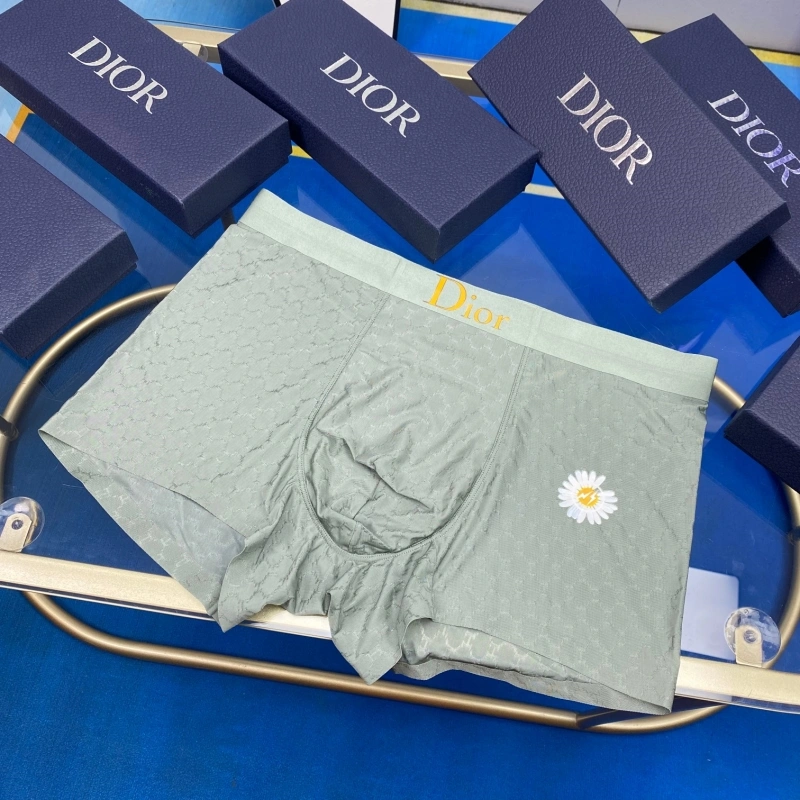 Christian Dior Underwear WellDesigned 276473