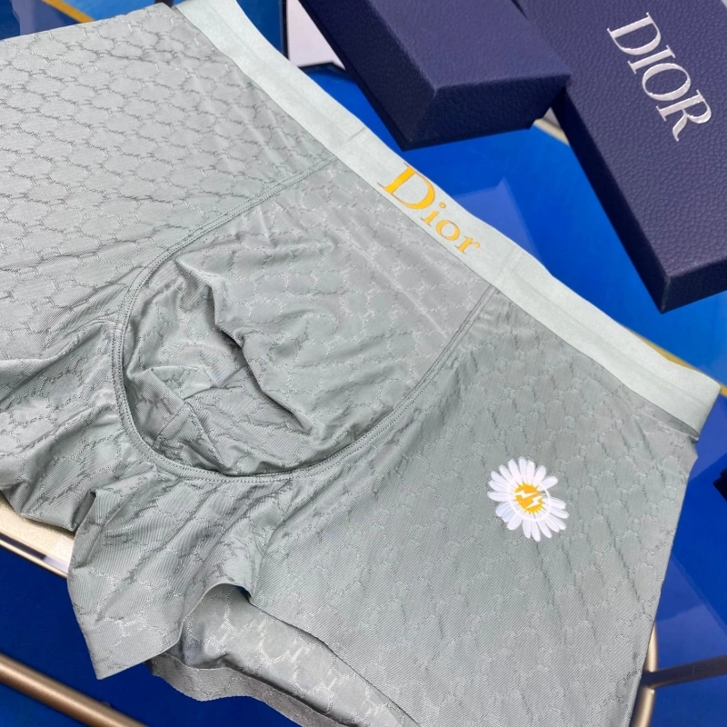 Christian Dior Underwear WellDesigned 276473