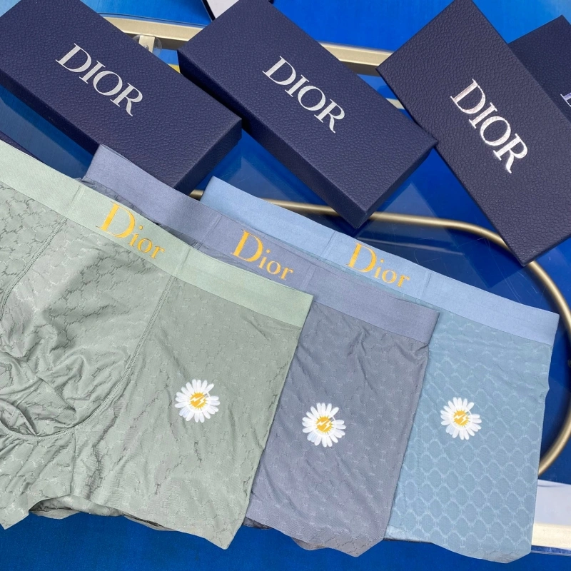 Christian Dior Underwear WellDesigned 276473