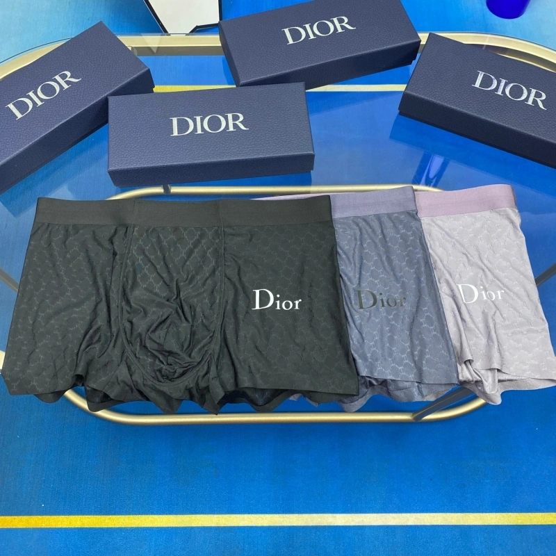 Christian Dior Underwear WellDesigned 276465