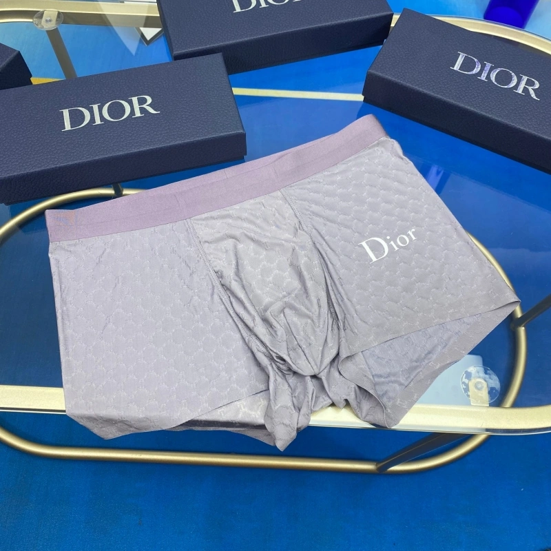 Christian Dior Underwear WellDesigned 276465