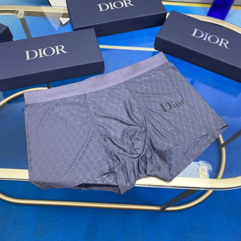Christian Dior Underwear WellDesigned 276465