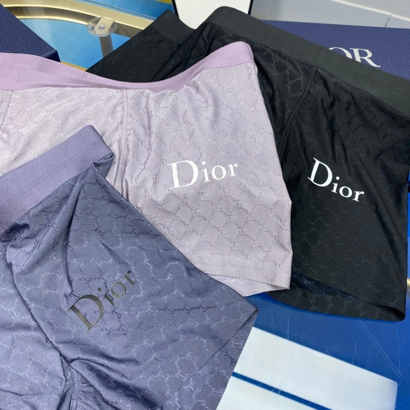 Christian Dior Underwear WellDesigned 276465