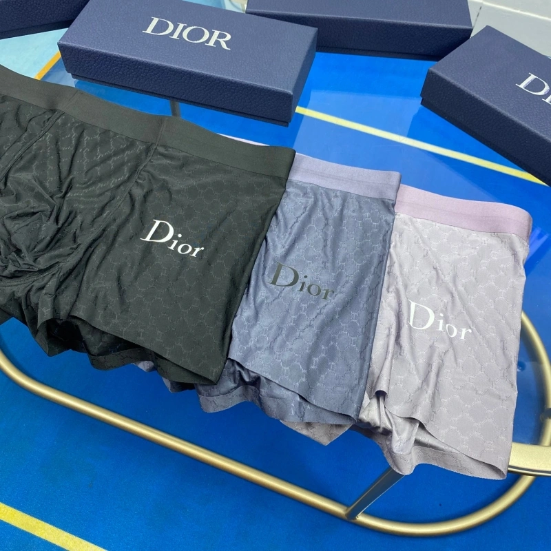 Christian Dior Underwear WellDesigned 276465