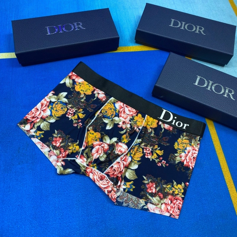 Christian Dior Underwear ZipUp 276485