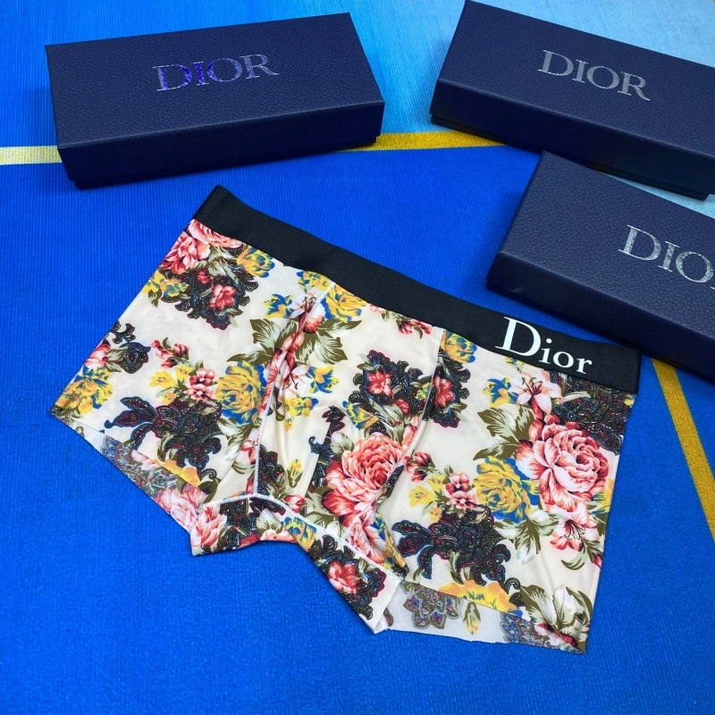 Christian Dior Underwear ZipUp 276485