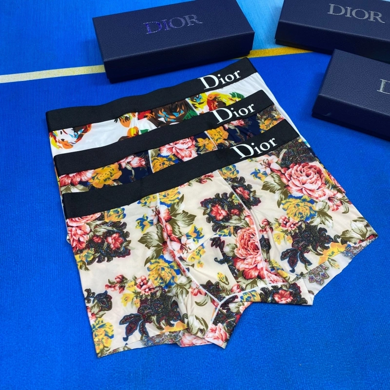 Christian Dior Underwear ZipUp 276485