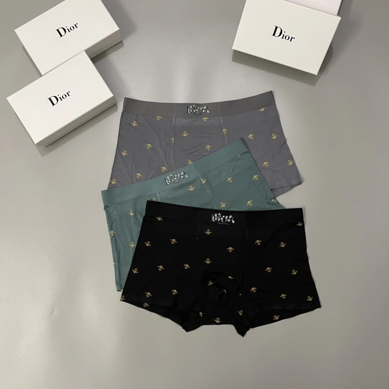 Practical Christian Dior Underwear 276482