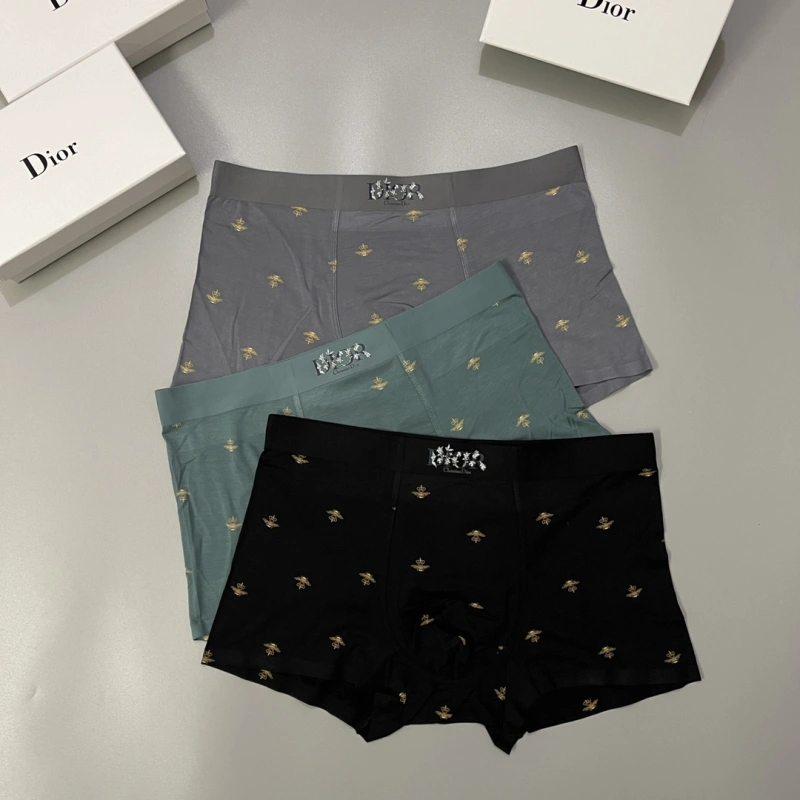 Practical Christian Dior Underwear 276482