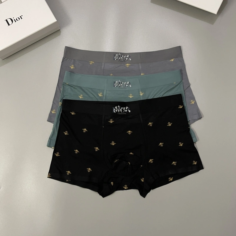 Practical Christian Dior Underwear 276482