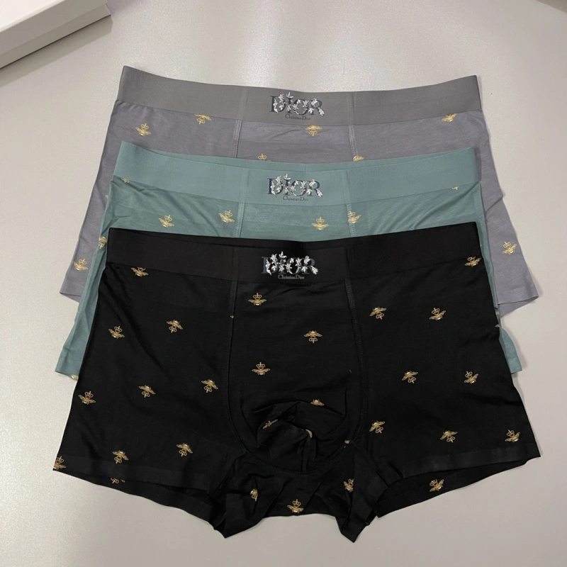Practical Christian Dior Underwear 276482