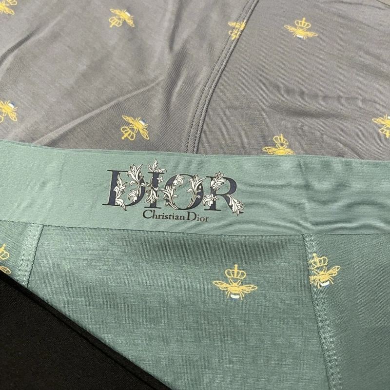 Practical Christian Dior Underwear 276482