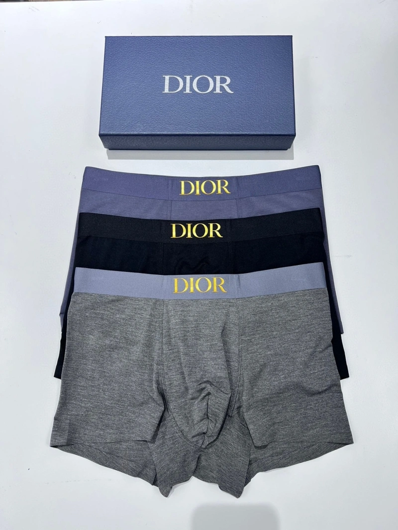 Christian Dior Underwear Chic 276472