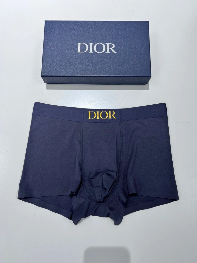 Christian Dior Underwear Chic 276472