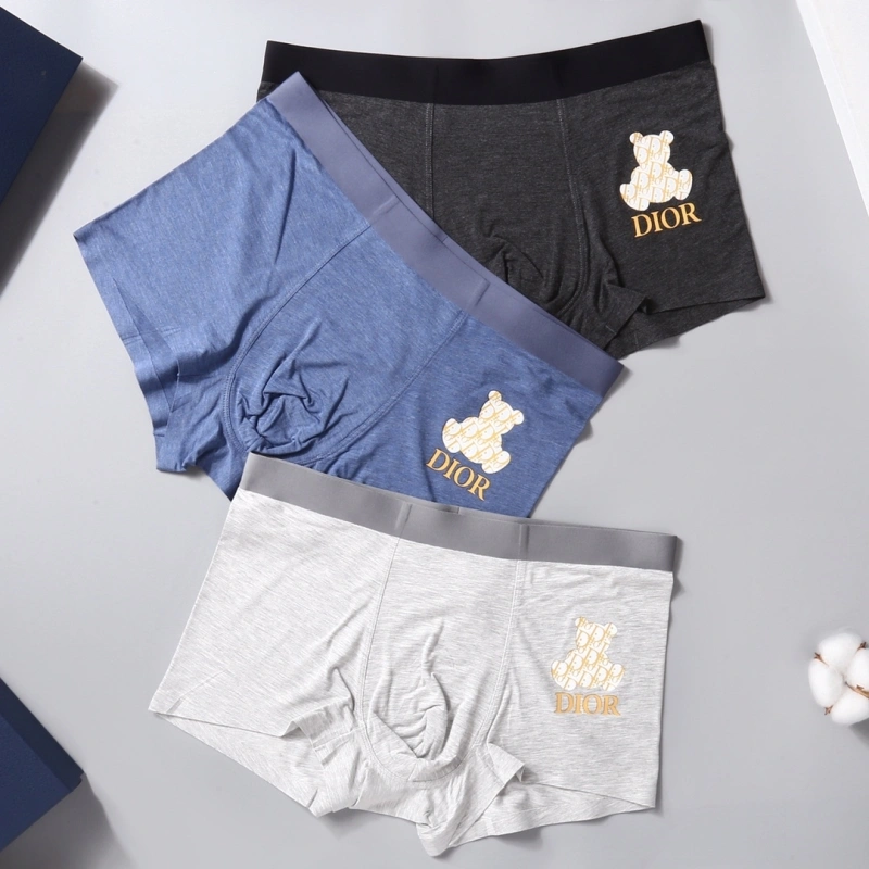 Breathable Christian Dior Underwear 276483