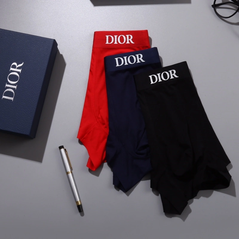 Neat Christian Dior Underwear 276458