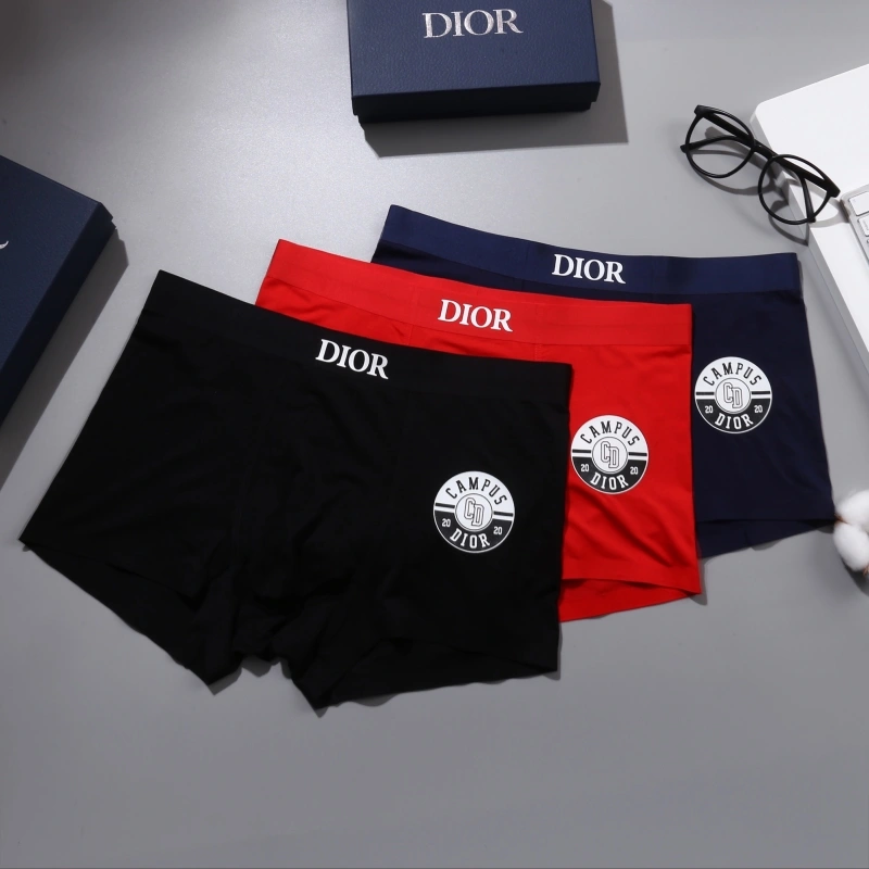 Neat Christian Dior Underwear 276458