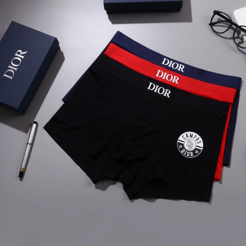 Neat Christian Dior Underwear 276458
